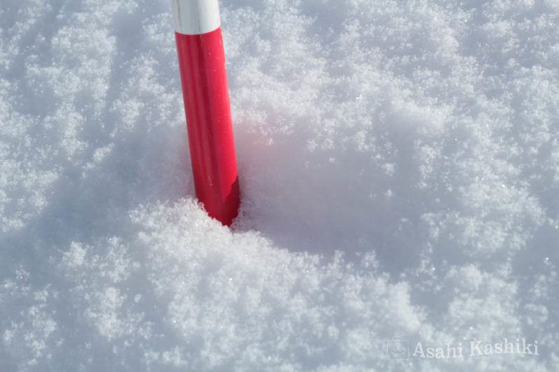 雪面に立つ紅白のポール