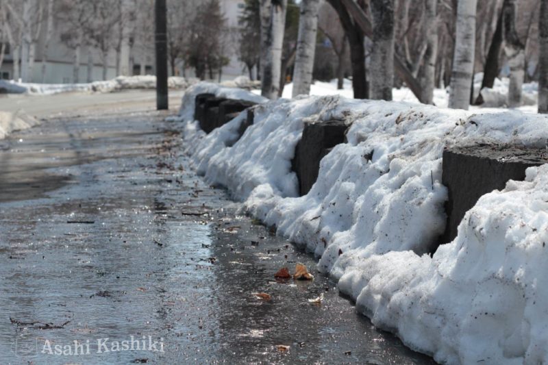 公園の石垣と雪解け水に濡れる道路