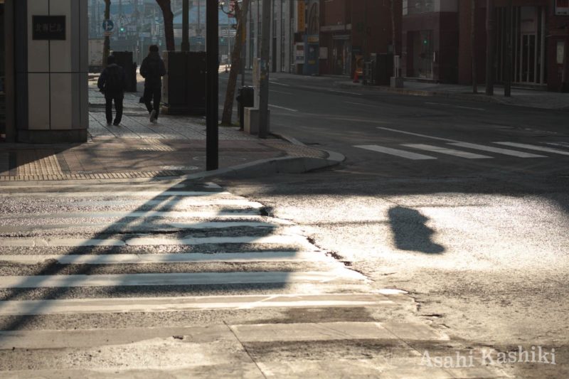 朝日の照らす横断歩道と歩行者