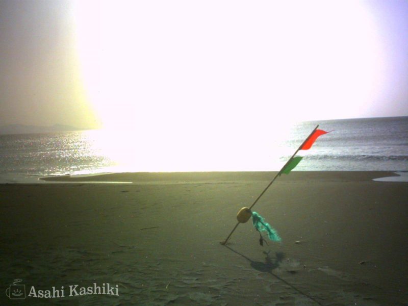 砂浜に立てられた旗