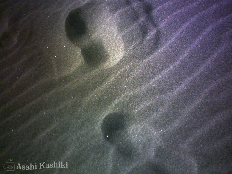 波模様の砂の地面