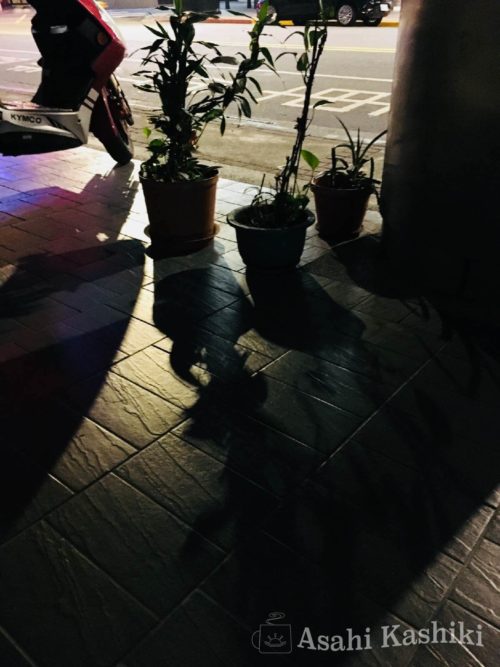 路地に置かれた植木鉢
