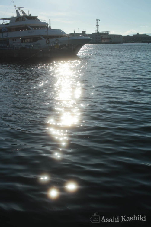 函館の海・水面に伸びる西日の光