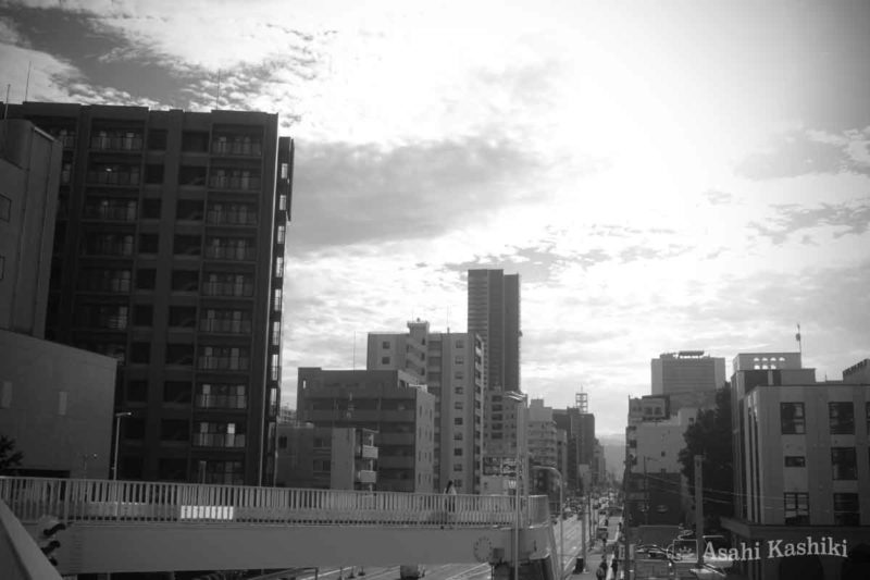 札幌・十字歩道橋の上から眺めるビル街