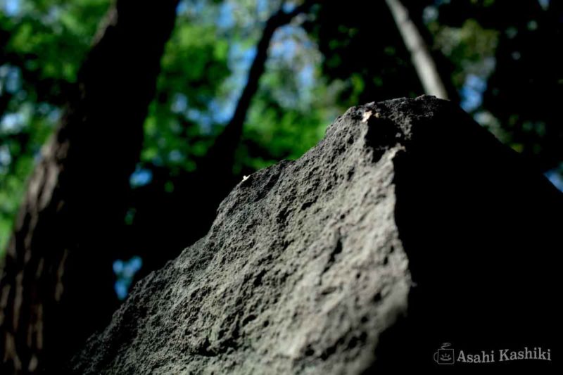 木陰に佇む札幌軟石の岩