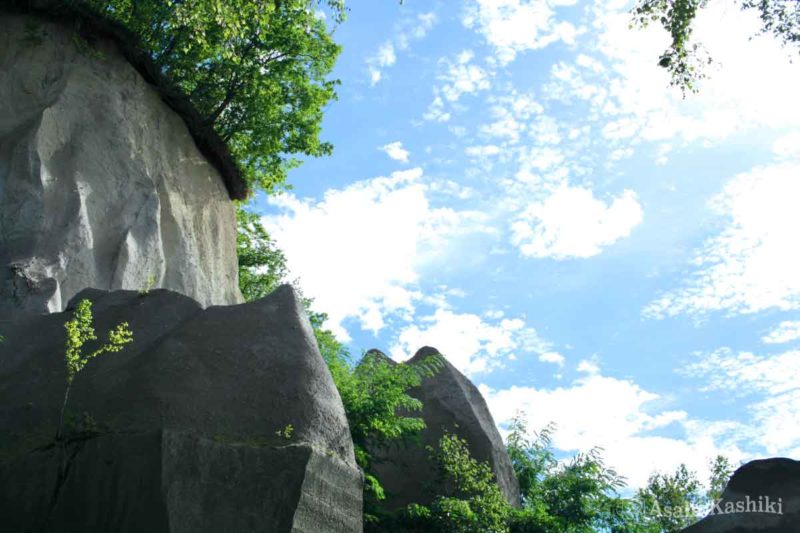石山緑地・札幌軟石の崖