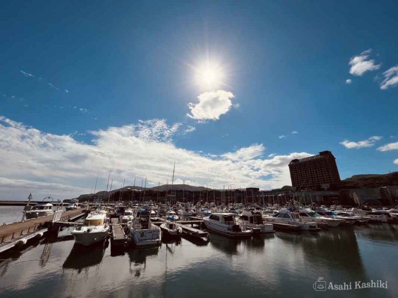 小樽築港の全景。たくさんの船を、眩い太陽が照らしている。