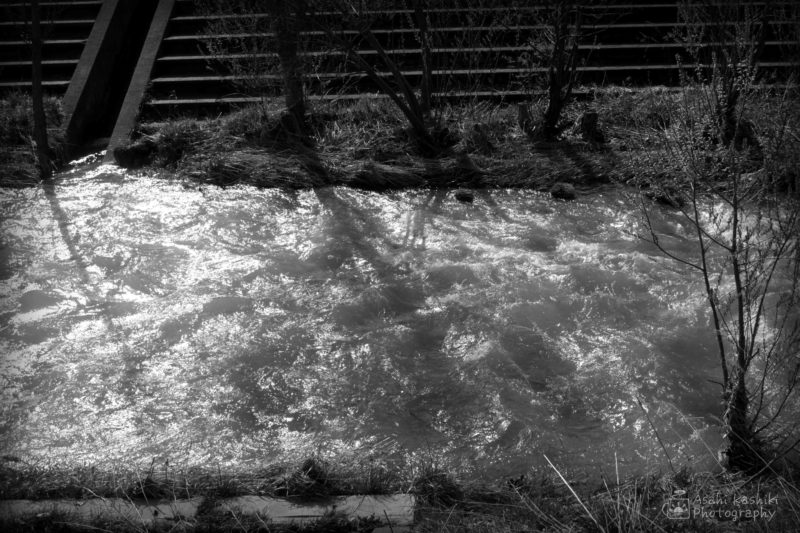 雪解け水で増水する川の水面のモノクロ写真。