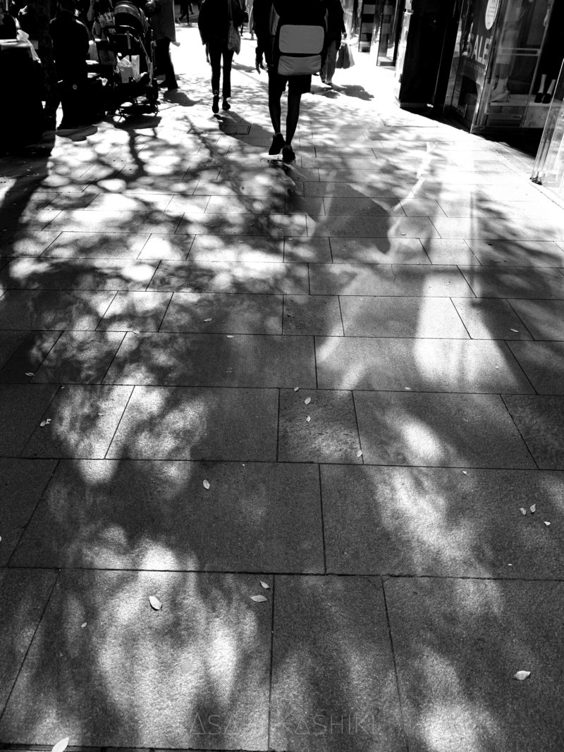 ショッピングストリートの歩行者の足元と、道いっぱいに広がる木の枝の影。
